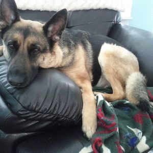 Meet your Posher, Sherrie